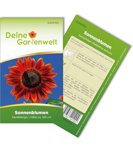 Sonnenblume Ruby F1 Samen - 20 Stück, Ca. 190 Cm Hoch, Pollenfrei & Keimfreudig