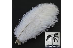 MWOOT 10 Stück Natürliche Straußenfedern, Strauß Feder Plume für Hochzeit Party Fest Tisch Herzstück Dekoration (Weiß, 25-30cm)