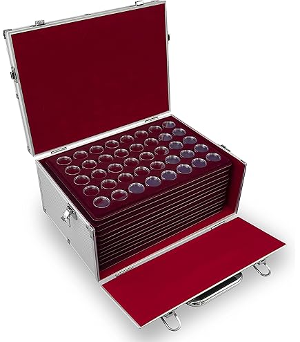 SAFE 6327 SP Vassoio per 35 Monete Fino a 27 mm