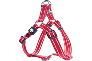 DDOXX Pettorina Cane Step-In Nylon, Riflettente, Regolabile | Tanti Colori e Taglie | Per Cani Piccoli Medi e Grandi | Imbracatura Cani, Gatti, Cuccioli, Gatto Taglia Piccola Media Grande | Rosso, S
