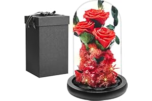 ‎PISKEKAT Echte Ewige Rose im Glas Kuppel, Frauen Geschenk Geburtstag, Die Schöne Und Das Biest Konservierte Rosen Blumen LED Licht, Muttertag Valentinstag Hochzeitstag Geschenk für Mama Freundin Ehefrau Oma