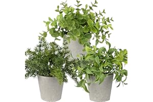 ‎BRIFUL Briful Kunstpflanze Mini Künstliche Grüne Pflanze Eukalyptus Rosmarin Kräuter im Zementtopf Deko Badezimmer Schreibtisch Küche Garden Dekoration 3er Set