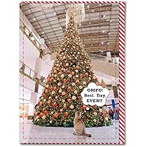 Brainbox Candy - Funny Christas Card - 'erry Christas Cat Finger' - Cheeky Xas Cards - For