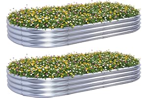 KINI MOX Letto per Orto Rialzato (Ovale, 8x4x1 FT)