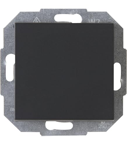 Kopp 1 unità Inserto presa di corrente ATHENIS antracite 940115086