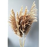 alyones Kuru &Ccedil;i&ccedil;ek Pampas 7 Adet 100 Cm Boy