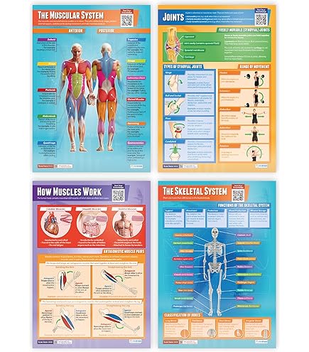The Food Cycle | Science Posters | Gráficas Científicas Para El Aula