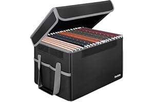 DOCSAFE Cartella portadocumenti ignifuga per documenti, giocattoli, libri, certificati, scaffali, armadi, casa, ufficio (senza borsa sospesa)