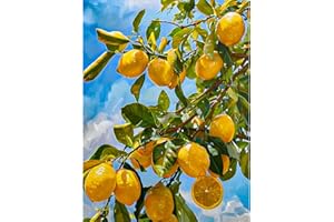 KEYIFA Lemon Tree Paint by Numbers for Adults, Painting by Number Canvas Kits with Acrylic Paint Brushes, DIY Craft Oil Painting Art Kits for Adults, Home Wall Decor 30x40cm
