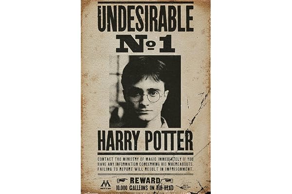 Harry Potter GB Eye LTD, Poster, 61 x 91,5 cm