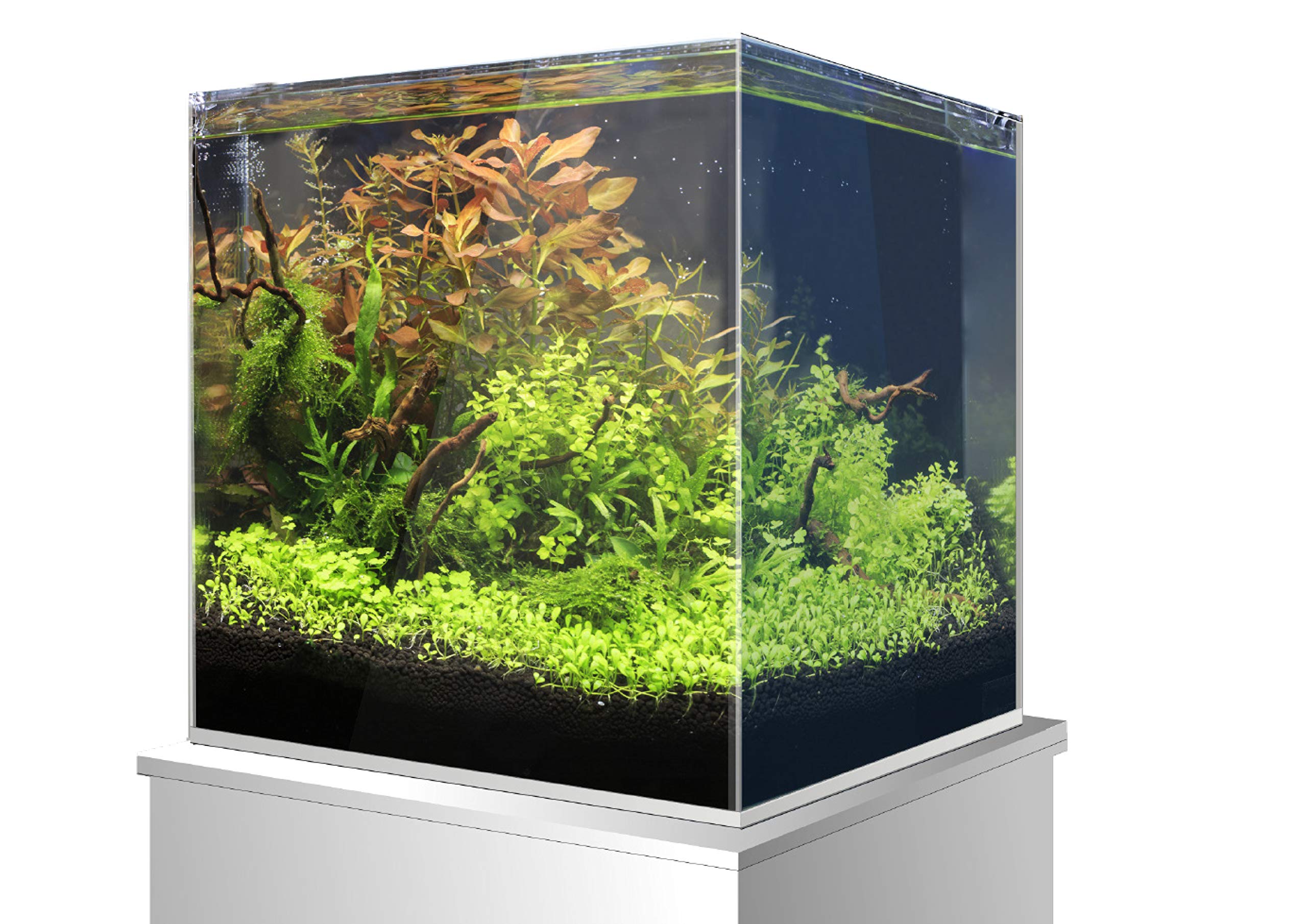Аквариумы переноски. Аквариум куб 30 литров. Аквариумы кубы 60 литров. Dennerle nano cube 60. Аквариум dennerle "nanocube", 60 л.