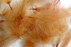 Hareline Dubbin Fish Hook - Rust Brown, One Size, High Carbon Steel, Spinner, Needle Tip, 13 x 1 x 1 x 1 E+1 inches, 0.25 ounces, 1 Piece, Trout, CDC (Cul de Canard) Feathers, Fishing Hooks, Fish