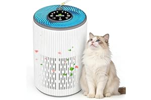 DAYETTE Tragbarer Luftreiniger für Allergiker mit Duftschwamm und blauem Nachtlicht, Timer, Ruhemodus (20 dB), HEPA-Luftfilter gegen Schimmel, Staub, Pollen, Gerüche, Tierhaare