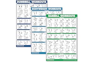 RAGUSO QuickFit 3er-Pack – Hantel-Workouts + Bodyweight Übungen + Langhantel-Übungen – Set mit 3 Trainingstabellen, laminiert, 18" x 27"