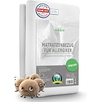 Makita DCL501Z Akku-Staubsauger – 18 V, 0,25 Liter, Mit Zyklon-Technik & HEPA-Filter