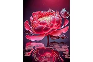 Lunyloer Diamond Painting, DIY Full Diamant Malen nach Zahlen Set, Diamant Malerei Malen Nach Zahlen Full Drill Kristall Set Stickerei Kunsthandwerk für Home Wand Décor 30x40cm