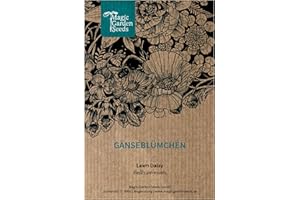 Daisy (Bellis perennis) Liebchen Tausendschön Margritli - 1000 Seeds