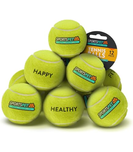 Lot 20 Balles De Tennis Usagées - Bon état, Marques Variées, Pour Enfants Ou Chiens