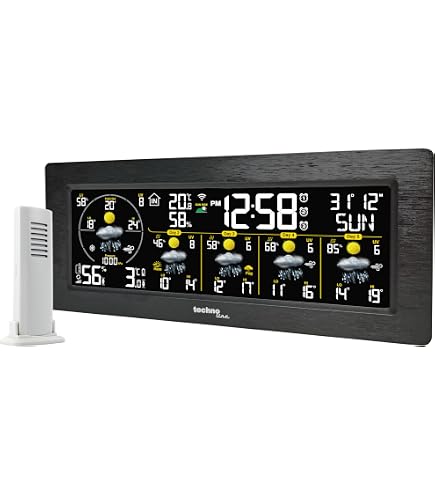 Gira 215004 Wetterstation Standard KNX Einflchenbedienung : Amazon.de:  Garten