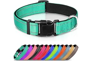 Joytale Collar Perro Reflectante,Nylon Collar Acolchado con Neopreno,Ajustable para Perros Extra Grande,45-70cm,Verde Azulado