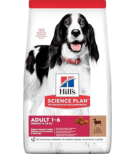 hills medium puppy food