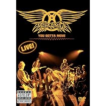 Aerosmith: Rocks Donington 2014 [USA] [DVD]: Amazon.es: Películas y TV