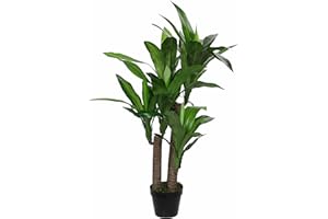 MICA Decorations 1026439 Dracaena en Maceta Verde – H110 X d60 cm Planta Artificial, Goma, Verde, 60 x 60 x 110 cm