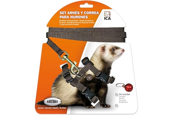 ICA Kit Harnais et Sangle pour Furets (DA973) Noir