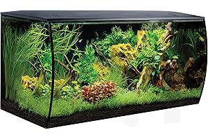 Fluval Flex Aquarium 123L, Süßwasser Aquarium, schwarz