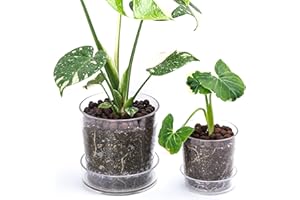 Phoenix Vine 6.5 Inch 4.5 Inch Clear Acrylic Houseplants Planter Pot with Tray, Orchid Pot with Drainage Holes, Deep Saucer for Bottom Watering, Transparent Containers for Indoor Plants, Herbs, 91-B-Y