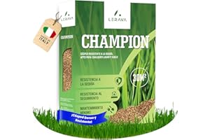 LERAVA CHAMPION semillas césped (30 m²) - césped resistente a la sequía - mezcla con festuca arundinacea - bajo consumo de agua y crecimiento rápido - ideal para jardín natural y repoblación