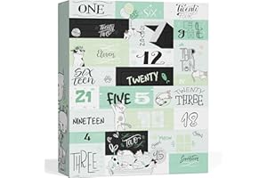 [ BOXILAND ] Katzen Adventskalender 2024 mit 24 delikaten Snacks im Katzenkalender I Geschenkidee Katzen