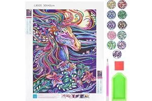 TECHEEL 5D Diamant Painting Set, Diamond Painting Kinder Pferde Teenager Mädchen, 30x40cm 5D DIY Diamantmaler-Set, Diamond Painting Geschenke für 8 9 10 11 12 Jährige Mädchen Teenager (C)