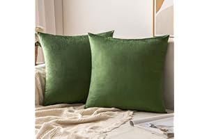 MIULEE Juego de 2 Terciopelo Suave Funda de Cojín Decorativo Cuadrado Manta Funda de Almohada para Sofá Dormitoriocon Cremallera Invisible 45x45 cm Matcha Verde