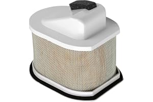Yerbay Filtro de aire para Kawasaki ZR800 Z800 2013-2016 / ZR750 Z750 2004-2012/ ZR750 Z750R 2011-2012 / ZR1000 Z1000 2003-2009/ ZR750 Z750S 2005-2009