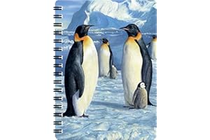 3D LiveLife Jotter - Antartic Majesty od Deluxebase. Soczewkowy kołonotatnik A6 z motywem pingwina 3D. Gładkie kartki. Papier z recyklingu. Dzieło na licencji. Renomowany artysta, Robert Hautman