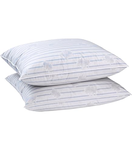 Lot De 2 Oreillers Moelleux MORTREUX – Anti-acariens – 550g – Microfibre