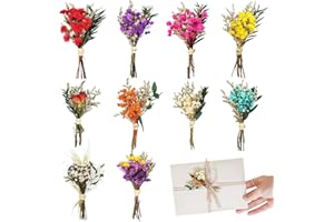 RXKFIGX 10 Paquetes de Mini Ramo de Flores Secas Naturales, Flores Secas Pequeñas, Ramilletes Flores Seca, para El Marco De Fotos DIY Fiesta En Casa Y Decoraciones De La Boda