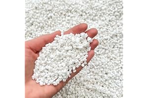 BHOMESCENT Premium Horticultural Perlite – Fresh-Packed Heat-Sealed Bag (3–5mm Grade) | Volume-Measured | Ideal for Houseplants, Propagation & Drainage | (1L)