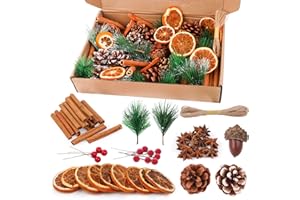 Joxessaien Zestaw do dekoracji wieńców bożonarodzeniowych, suszona pomarańcza, cynamon, anyż gwiazdkowy, orzechy włoskie, szyszki sosnowe, jagody, gałęzie sosny i sznurek, 198 szt