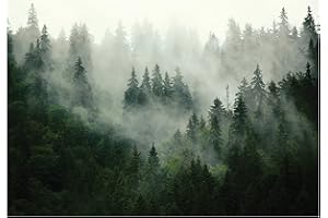WALLARENA Carta Da Parati Fotografica Foresta Nebbia Alberi - Include Colla - Moderna Design Carta per Pareti Soggiorno Camera Da Letto Sala Fotomurali In Tessuto Non Tessuto TNT (368x254 cm - 4 Strisce)