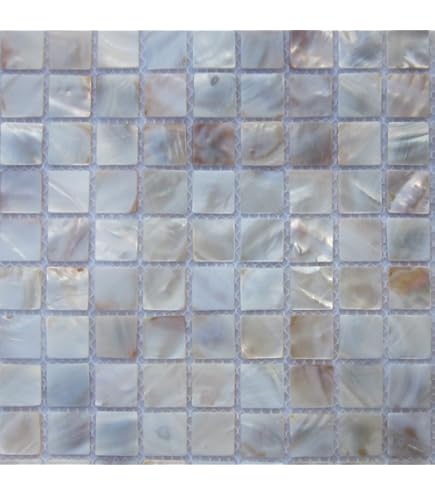 Lot De 5 Plaquettes En Nacre – 20x20x5 Mm, Carrés De Coquillage Naturel Pour Bijoux Et Mosaïque