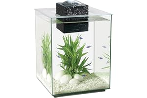 Hagen Fluval Chi Ii Aquarium Set, 19 Litre