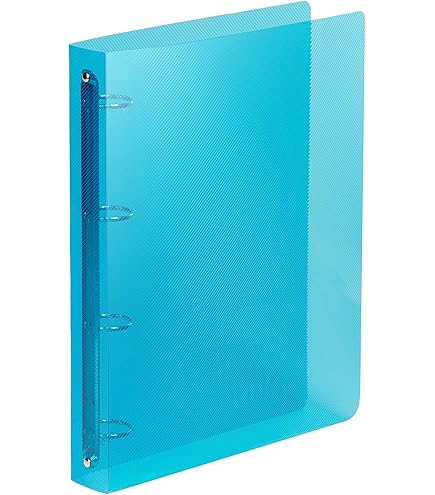 Eco Eco A4 100% Recycled Punched Pockets 25 Pack | Morgan's Direct Limited