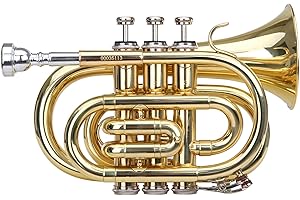 Classic Cantabile Brass TT-400 Trompette De Poche (Laiton, Pavillon Diamètre : 93 mm, Perce : 11,8 mm, Accord : Sib, incl. Étui léger, Embouchure, Chiffon, Gants) Vernis Clair