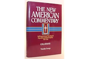Galatians: An Exegetical and Theological Exposition of Holy Scripture: An Exegetical and Theological Exposition of Holy Scripture Volume 30 (New American Commentary, Band 30)