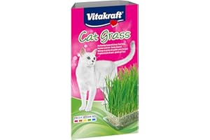 Vitakraft Cat Grass, Katzengras Saatenmischung, mit Vitaminen und Mineralien, schnell wachsend (1x 120g)