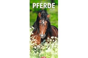 Pferde Kalender 2026: Wandkalender länglich - großer Wandkalender mit beeindruckenden Fotos der bekannten Pferdefotografin Sabine Stuewer. Kalender XL ... 33x68 cm (Tierkalender Weingarten)