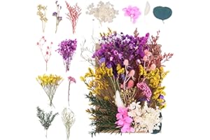 NVIYAM Flores Secas Naturales Prensadas para Manualidades y Bricolaje - Mezcla de Flores para Resina y Albumes de Recortes