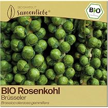 Samenliebe BIO Rosenkohl Samen | Kohl Brsseler Rosenkohl - winterhart &  aromatisch - samenfestes BIO Saatgut : Amazon.de: Garten